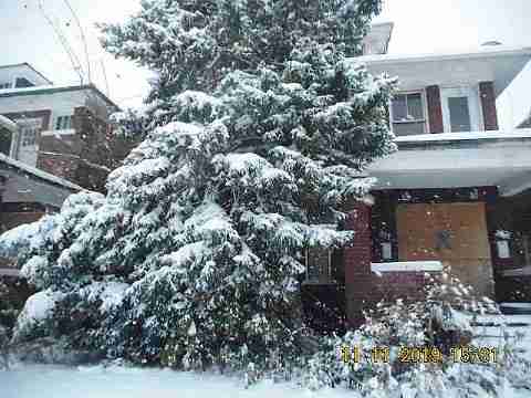 3319 Pingree (4)_m.jpg